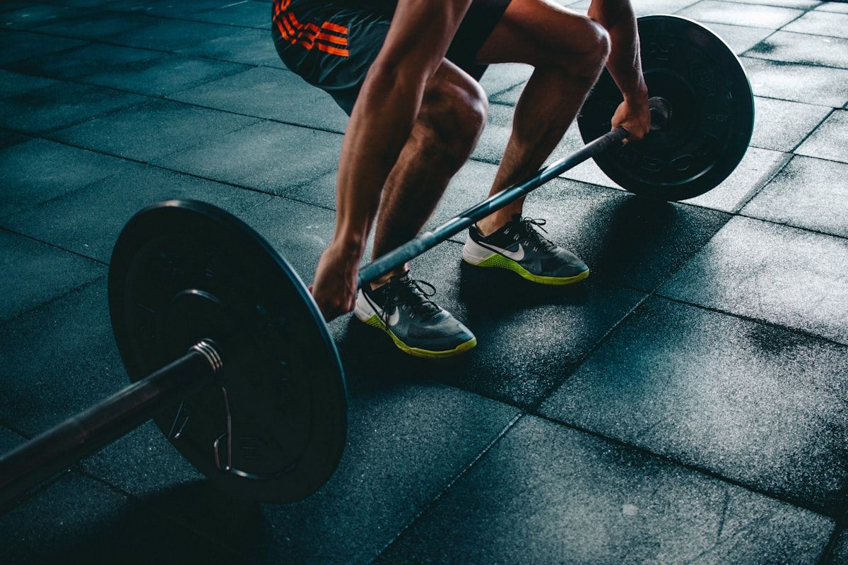 Trainer creates your physical activity plan